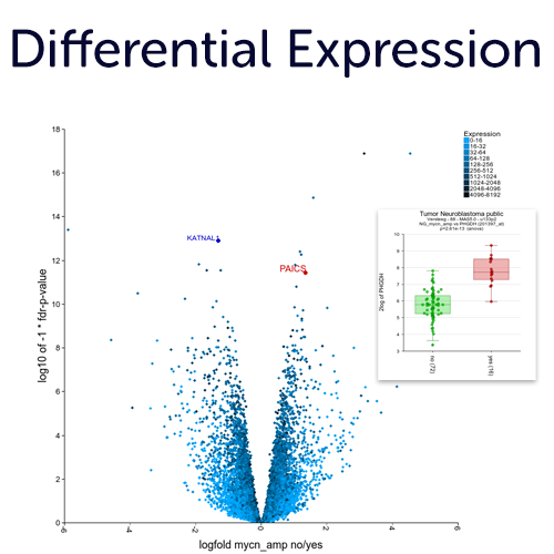 R Genomics Analysis And Visualization Platform